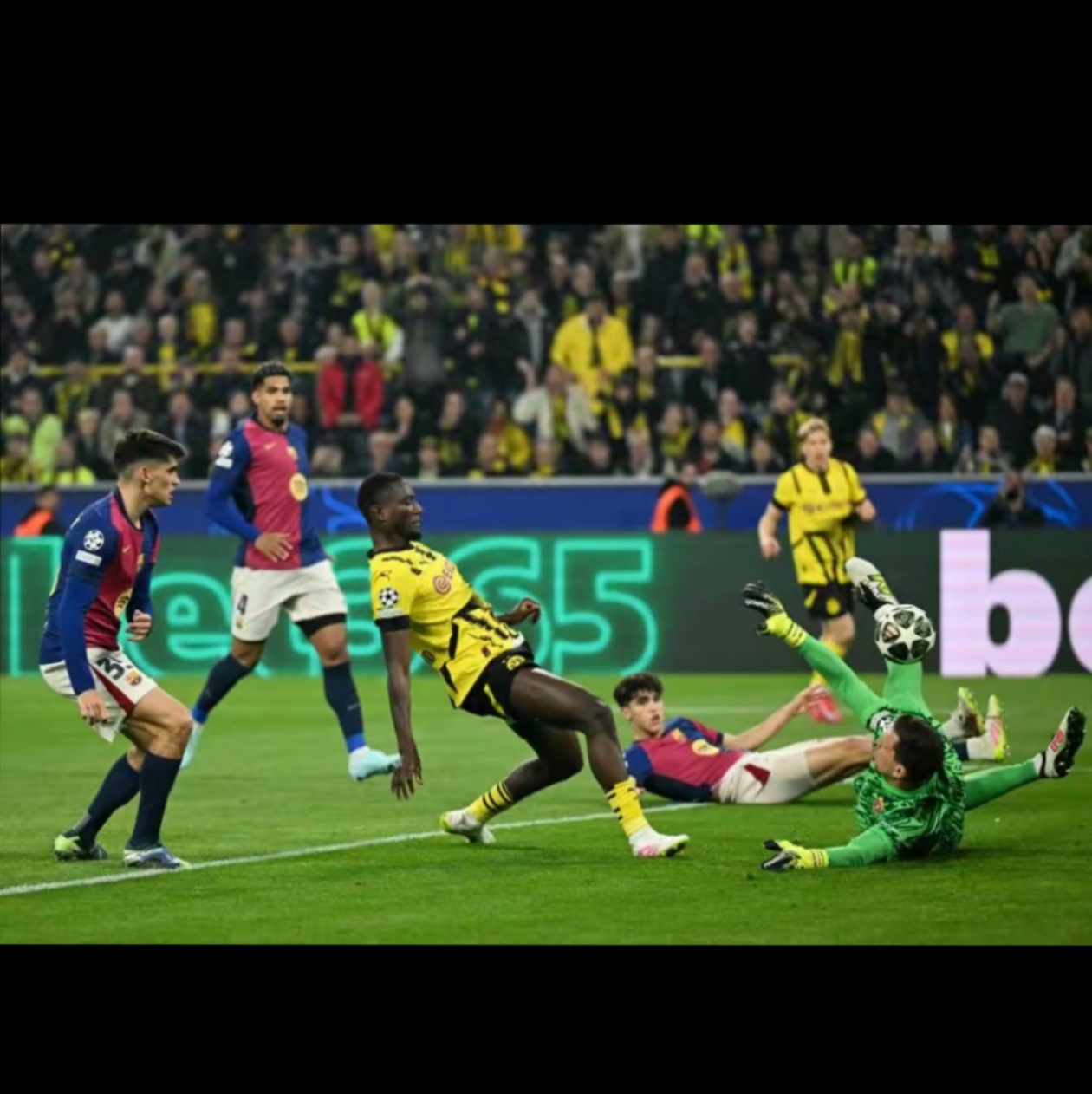 九游体育下载-赛后多伦多猛龙备战欧冠；绝杀压哨细节曝光；赛场秩序良好；细节决定成败(多伦多猛龙夺冠)