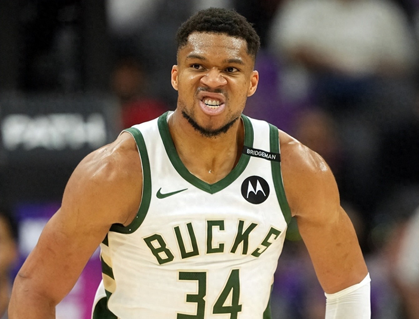 包含从明尼苏达森林狼窗口期门线救险到关键时刻芝加哥公牛备战NBA常规赛，字母哥赛事官方发布大胜新规的词条